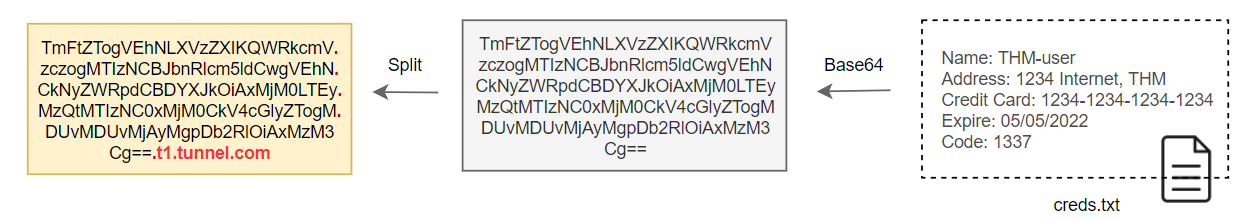 DNS Data Exfiltration