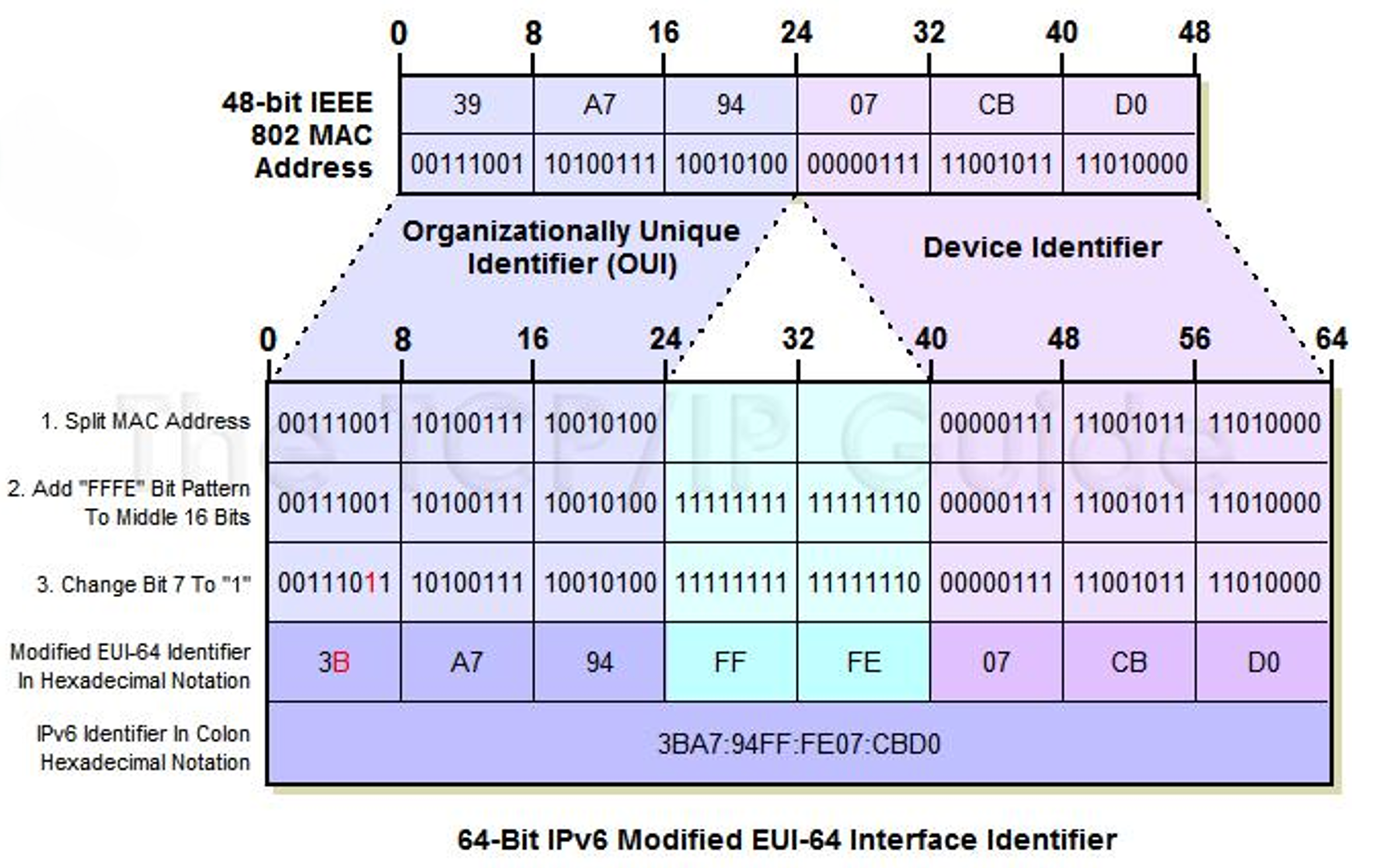 IEEE802_48位MAC地址映射主机地址