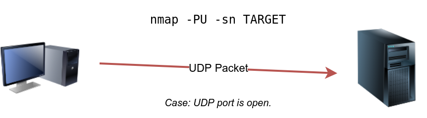 nmap udp open